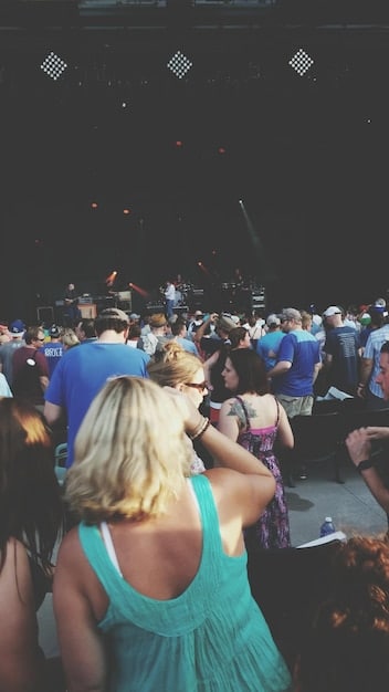 A wide shot of the audience during the concert, showing people of all ages and backgrounds enthusiastically dancing and singing along with the band. The atmosphere is energetic and joyful, with hands raised and faces smiling.