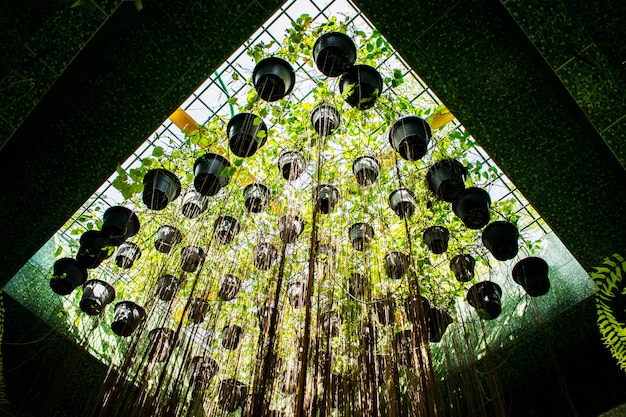 A concert stage designed with sustainable materials like bamboo and recycled plastics, illuminated with energy-efficient LED lights, featuring green foliage as part of the decor.